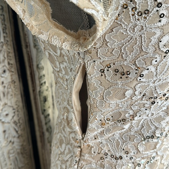 Scarlett Tan Lace and Sequins Short Sleeve Special Occassion Party Dress Size 6 - Picture 7 of 11
